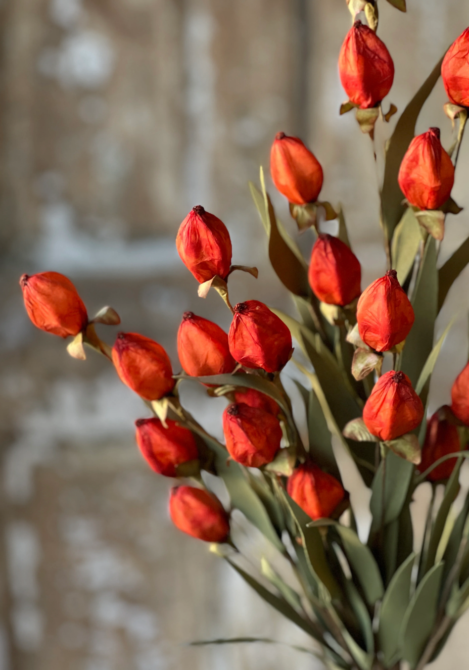 Beacon Bush | 23" | Flame