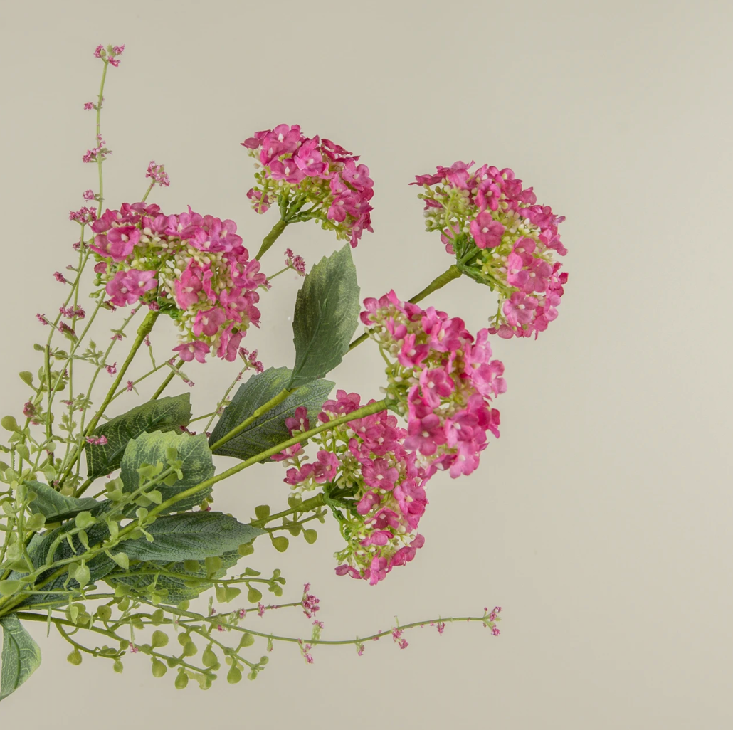 20" PINK WILD HYDRANGEA BUSH