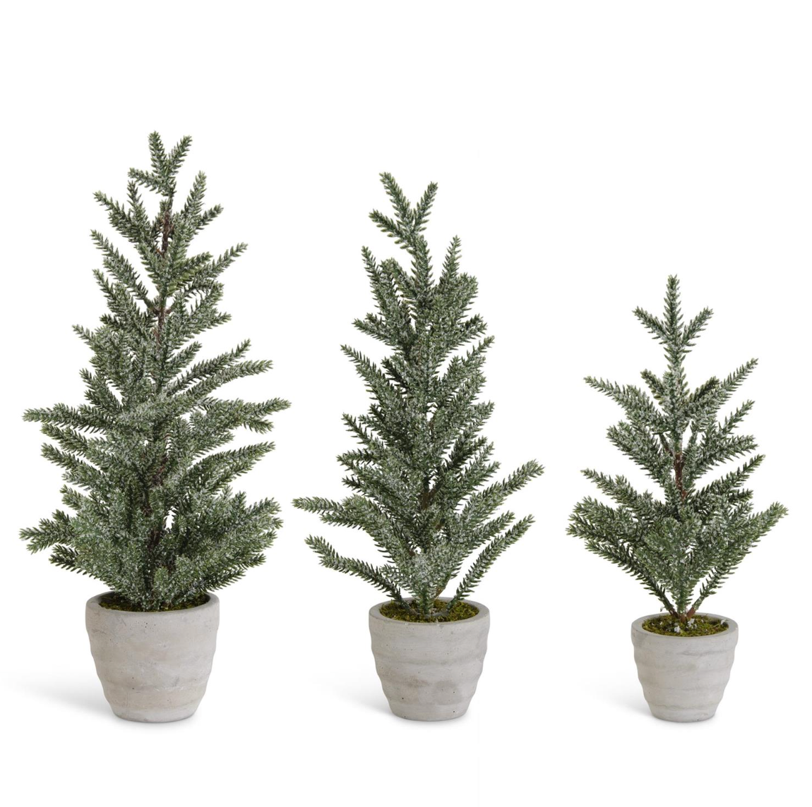 Snowy Pine Trees in Gray Cement Pots