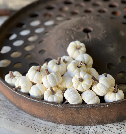 Copperfield Pumpkins | Cream