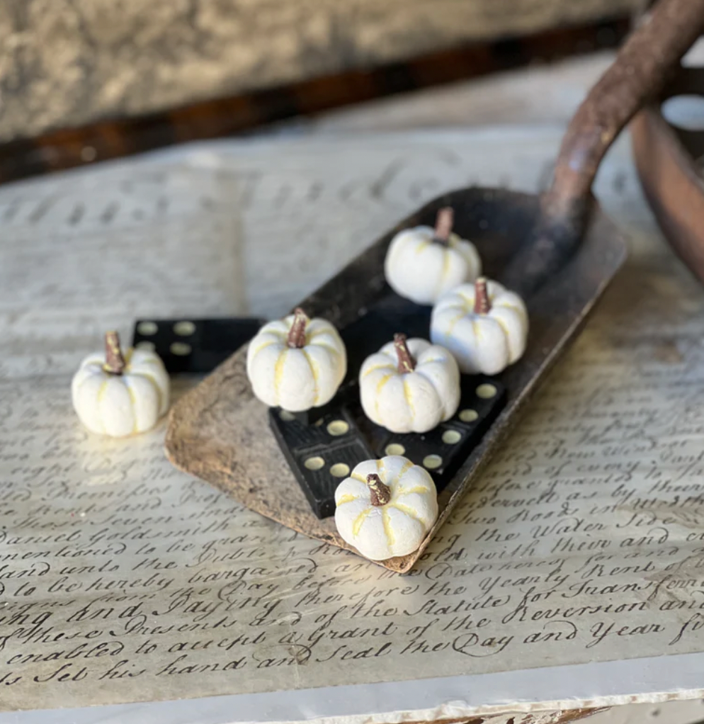 Copperfield Pumpkins | Cream