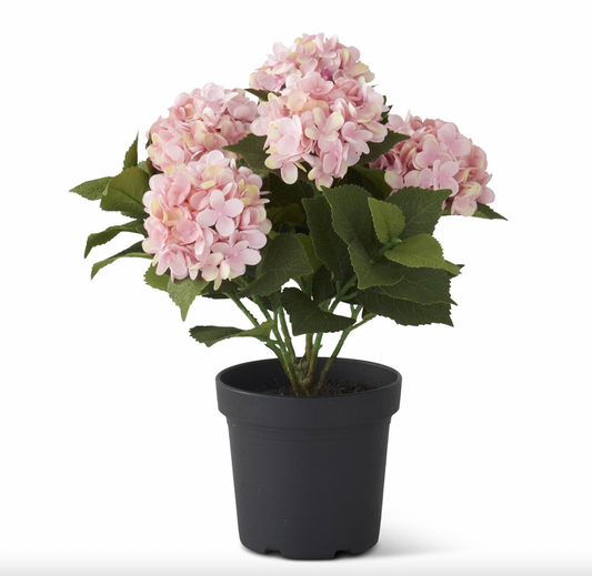 18.75 Inch 5 Bloom Pink Potted Hydrangea w/Faux Dirt