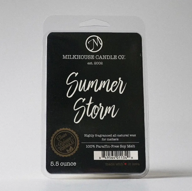 Summer Storm Wax Melt