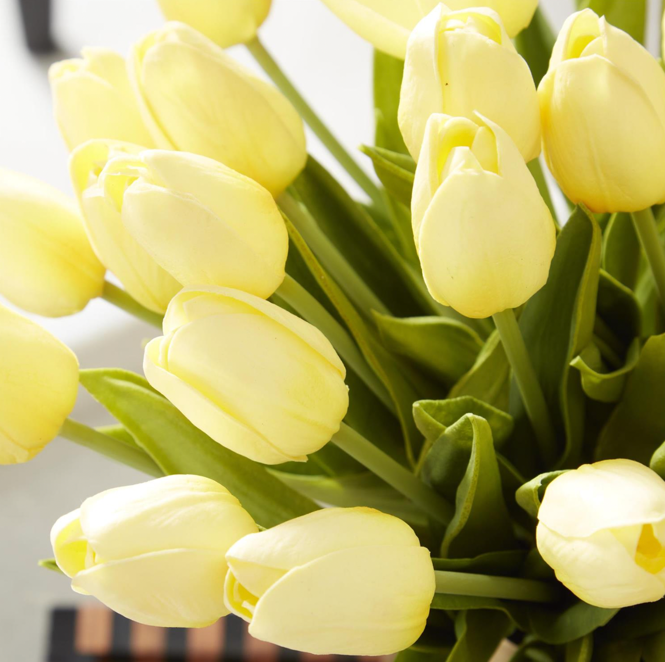 13 Inch Light Yellow Real Touch Mini Tulip Bundle