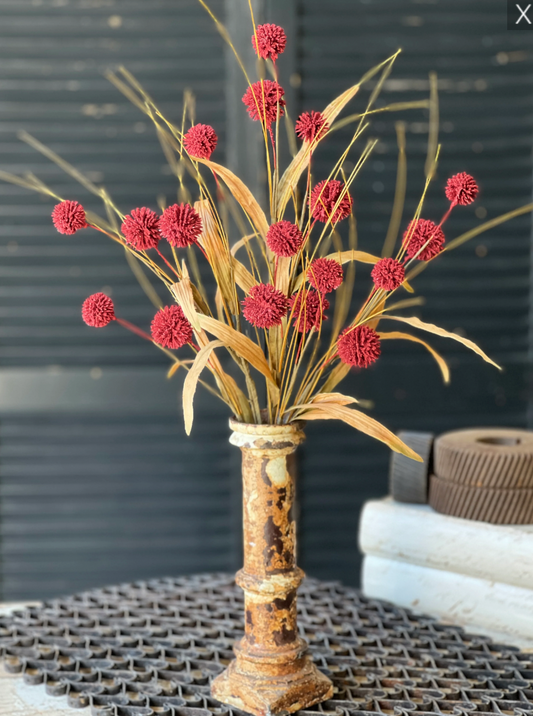 23" poppins bush