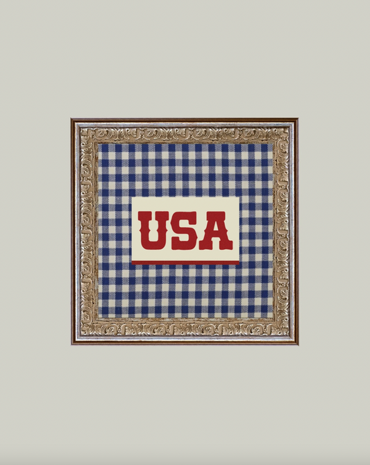 Plaid USA Framed Antique Art
