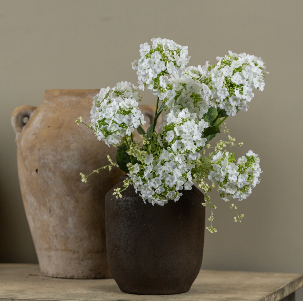 20" WHITE WILD HYDRANGEA BUSH