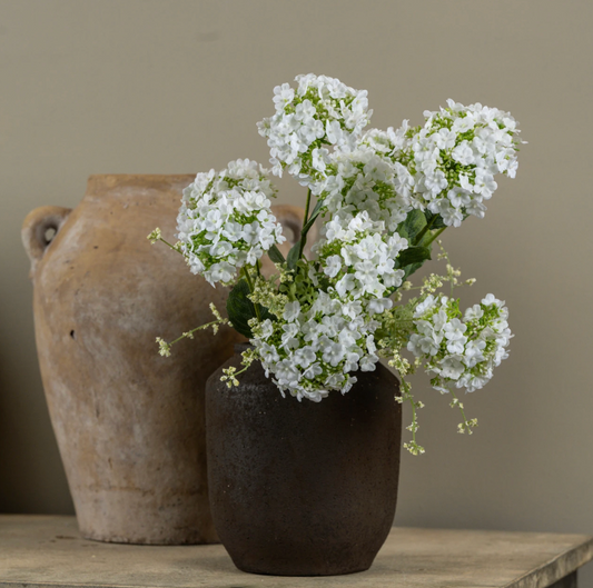 20" WHITE WILD HYDRANGEA BUSH