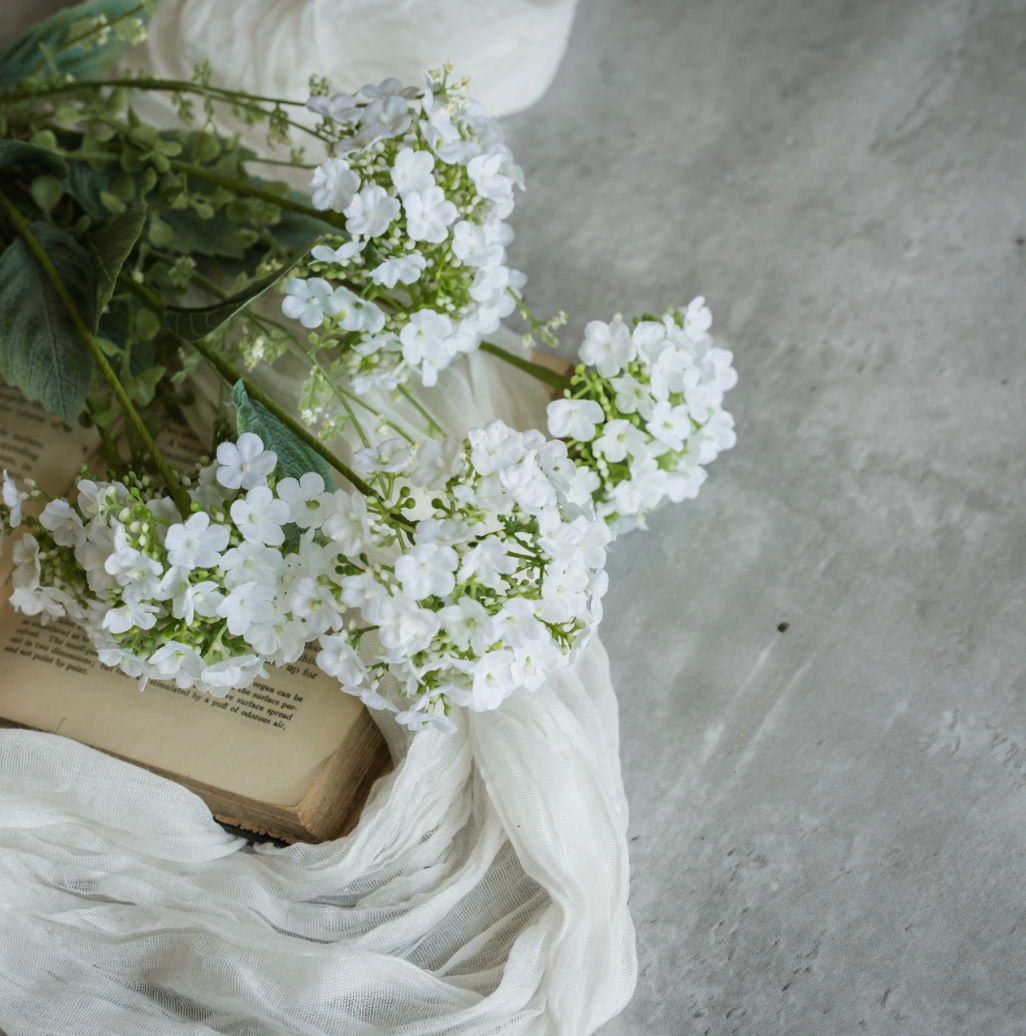 20" WHITE WILD HYDRANGEA BUSH