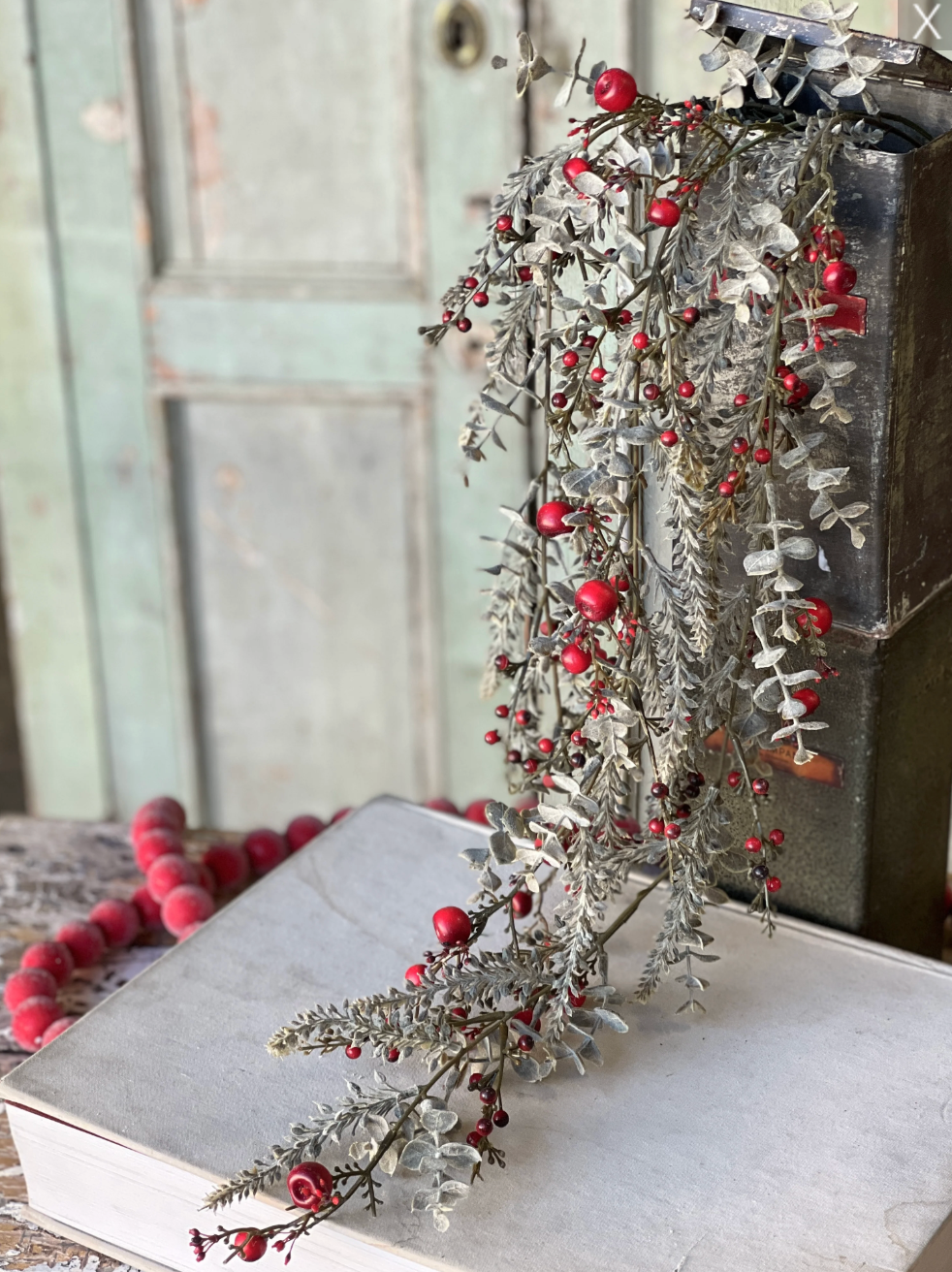 Cashel Berry Eucalyptus Hanging | 33"