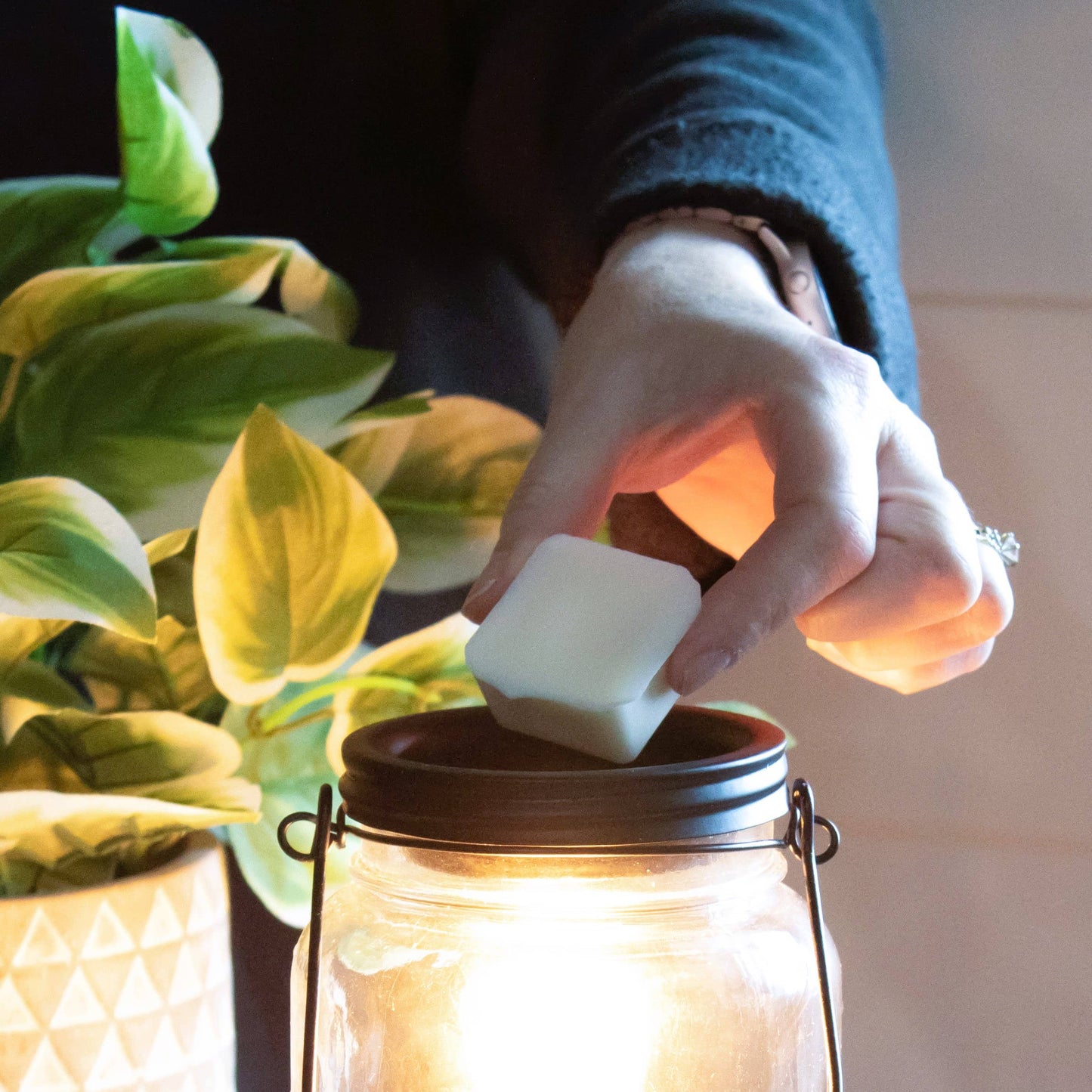 Milkhouse Candle Company - 5.5 oz Wax Melts: White Pumpkin